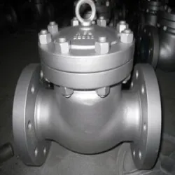 Steel Swing Check Valve, Valve Size 40 inch