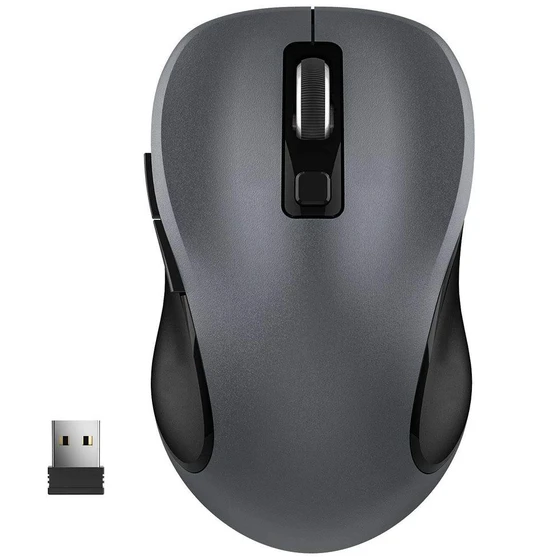 computer-mouse.webp