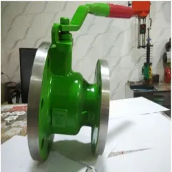 Flush Bottom Valve, Material SS 304 SS 316