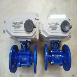 Motorized Ball Valves 2 3 Way, WOG Rating 150