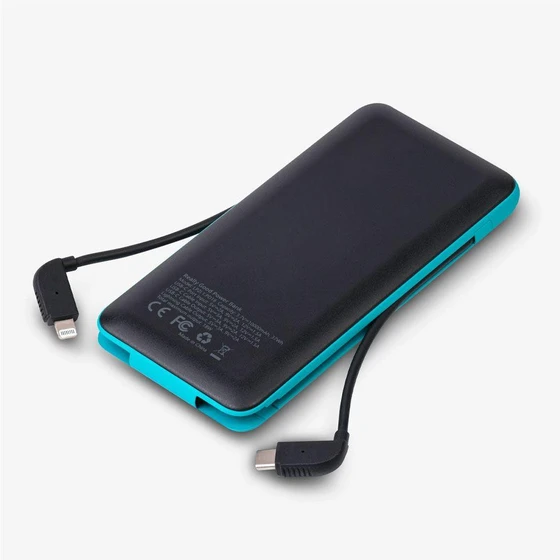 power-bank-types.webp