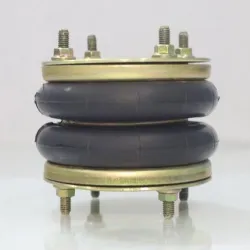 Paint With Colour Air spring mounting for Tata Marco Polo, UsageApplication Automotive