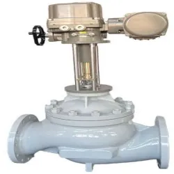 Two Way Globe Valve, Brand Honeywell