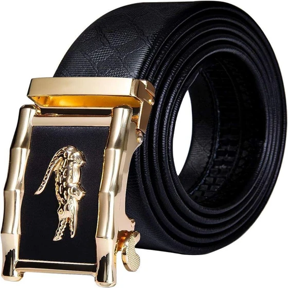 Designer Mens Belts — Daily life usages alloy