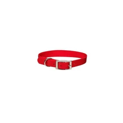  Dog Collar
