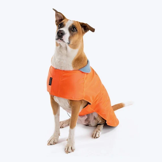 Dog Jackets — Pet Apparel Accessories Polyester