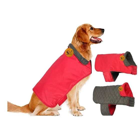 dog-jackets-2.webp
