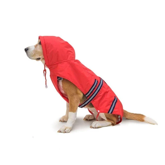 casual-wear-pet-clothing-2.webp