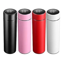 Temperature Water Bottle