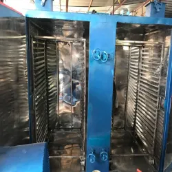 Pharmaceutical Tray Dryer, Number Of Tray 12 - 100 Tray