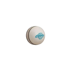 SS Cricket Balls