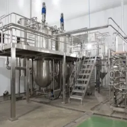 Food Processing Plant, Capacity 100 kghr