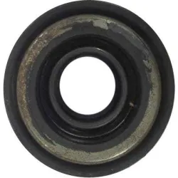 Imported Oil Seal, Color Black