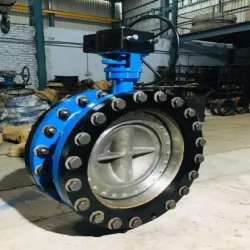 Double Eccentric Offset Butterfly Valve, Grade SS 202