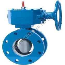 Wafer Check Valve, Material Stainless Steel
