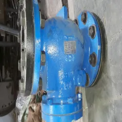 Gun Metal Swing Check Valve, Valve Size 50 inch