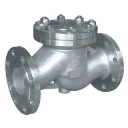 Non Return Valve, End Connection FLANGED