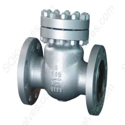 Spare Check Valve, Diameter 15mm To 50mm