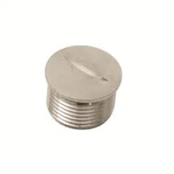 Hexagon Head Stopping Plug, Finish Chrome