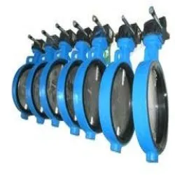 Rubber Lined Butterfly Valve, Surface Finishing Polished