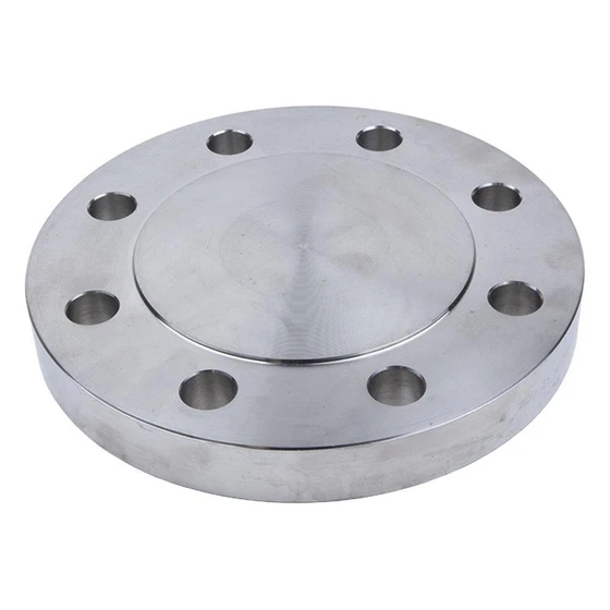 blind-steel-flange-2.webp
