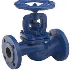 Globe Check Valves, Body Material Cast Iron