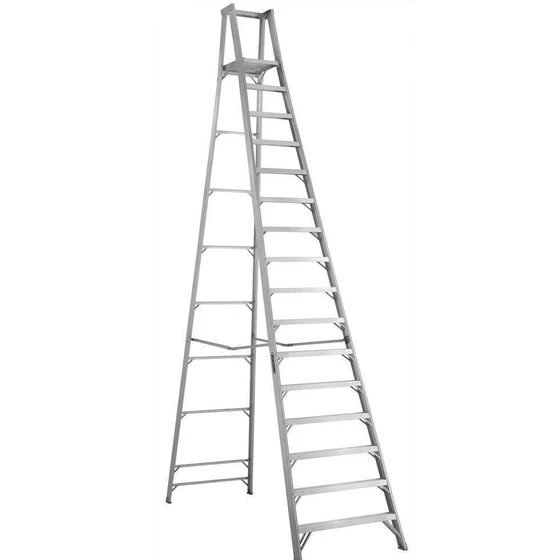 self-support-extension-ladder-2.webp