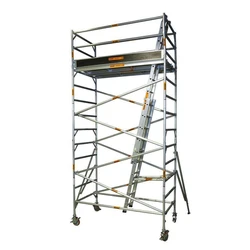 Reclining Extension Ladders