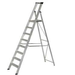 Cum Extension Ladder