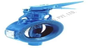 Butterfly Valve