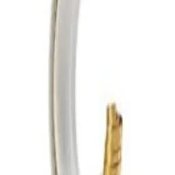 manufacturers-spring-loaded-seal-6hIjWJCH.webp