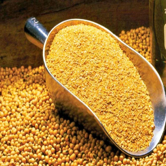 soya-bean-animal-meal-2.webp