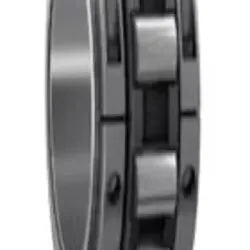 Cylindrical Roller Bearings With Snap Ring Grooves, Bore Type Cylindrical