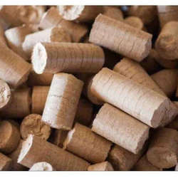 Wood Biomass Briquette