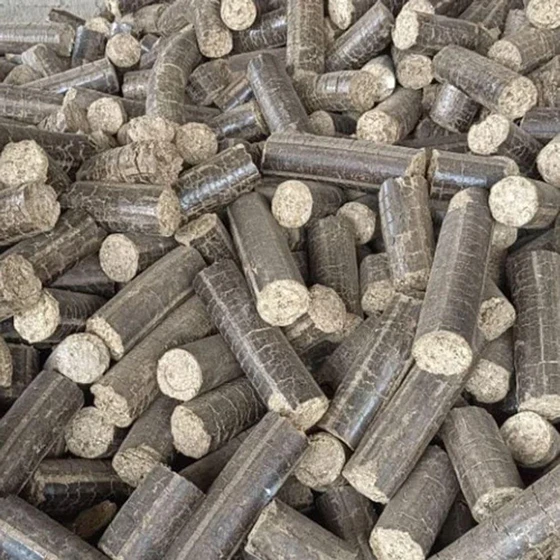 common-biomass-briquettes-1.webp