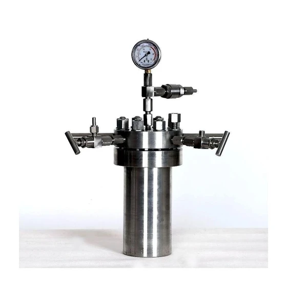 High Pressure Autoclave — Laboratory usage Silver