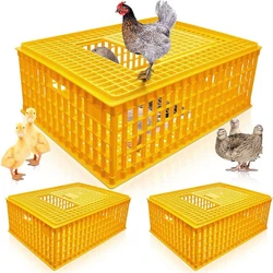 Yellow Poultry Cages