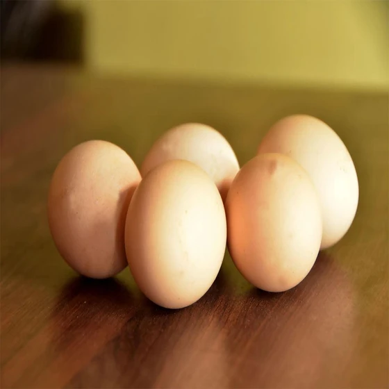 Kadaknath egg — High Protein Fresh eggs vitamin