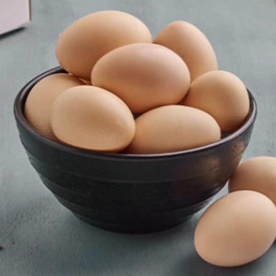 kadaknath-egg-2.webp