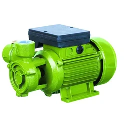 Electric Water Pump