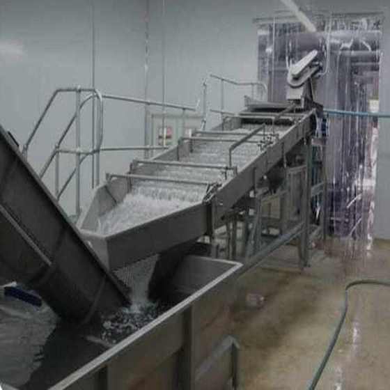 mango-processing-plant-2.webp