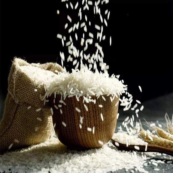 white-non-basmati-rice-2.webp