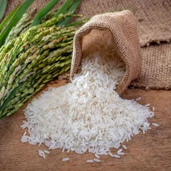 Organic Non Basmati Rice