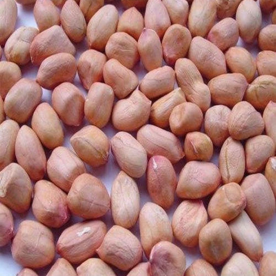 Organic Groundnut Kernels — Red color fine taste