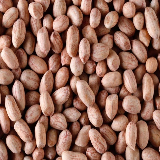 organic-groundnut-kernels-2.webp