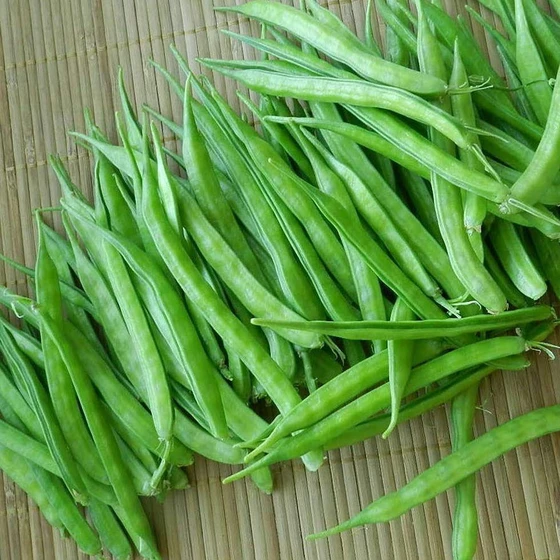 Bean Hybrid Seed — Green color 500 g size