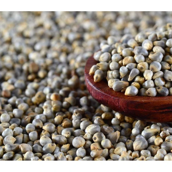 white-bombay-black-bajra-seeds-2.webp