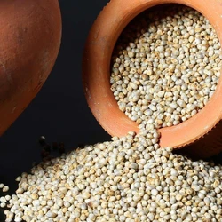White Bombay Black Bajra Seeds