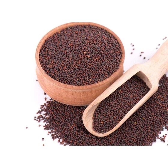 brown-nagina-gold-mustard-seed-2.webp