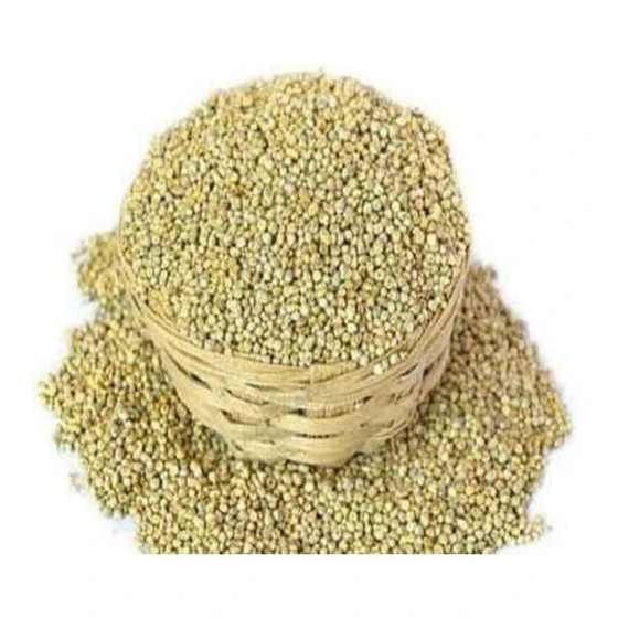5734-hybrid-bajra-seed-1.webp